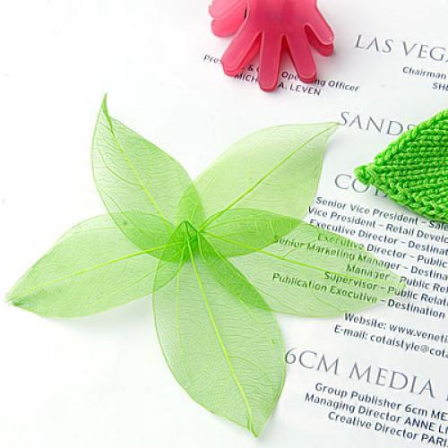 Craft Embellishments - Natural Catbrier Skeleton Leaves Multi Purpose