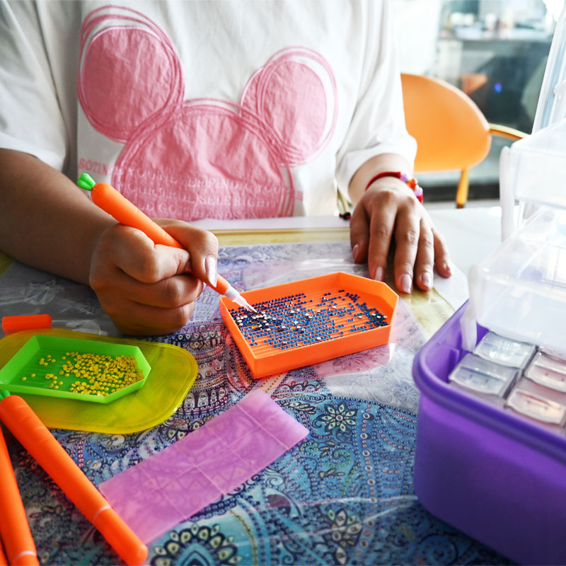 Diamond Embroidery Tools Carro - Craft Embellishment Storage のレビューと価格