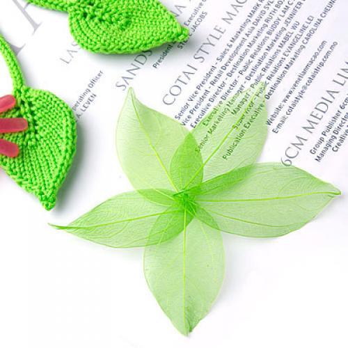 Natural Catbrier Skeleton Leav - Craft Embellishments のレビューと価格