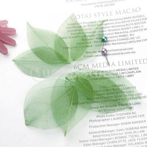 Natural Catbrier Skeleton Leav - Craft Embellishments のレビューと価格