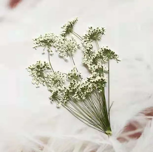 5-7cm/12pcs,Snow Tiny Flowers  - Craft Embellishments のレビューと価格