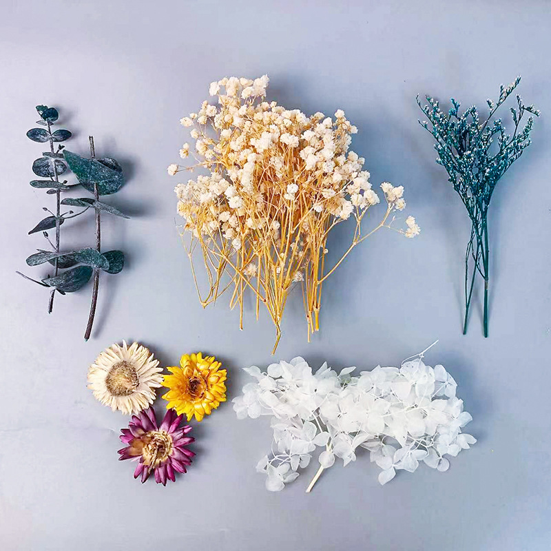 1pack Multifarious Dried Flowe - Craft Embellishments のレビューと価格