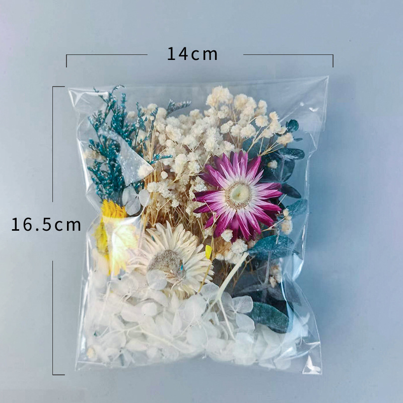 1pack Multifarious Dried Flowe - Craft Embellishments のレビューと価格