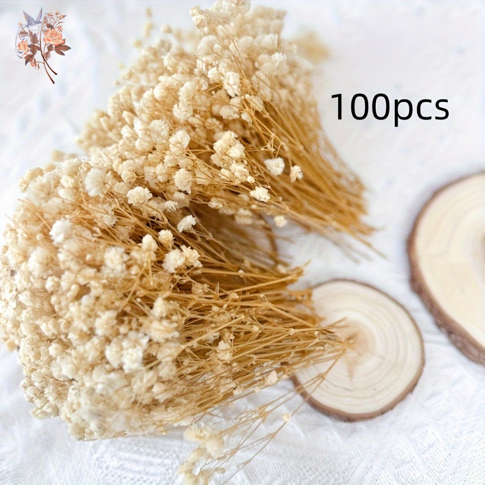 100pcs Mini Dried Baby's Breat - Craft Embellishments のレビューと価格