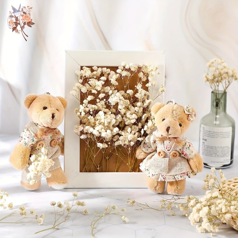 100pcs Mini Dried Baby's Breat - Craft Embellishments のレビューと価格