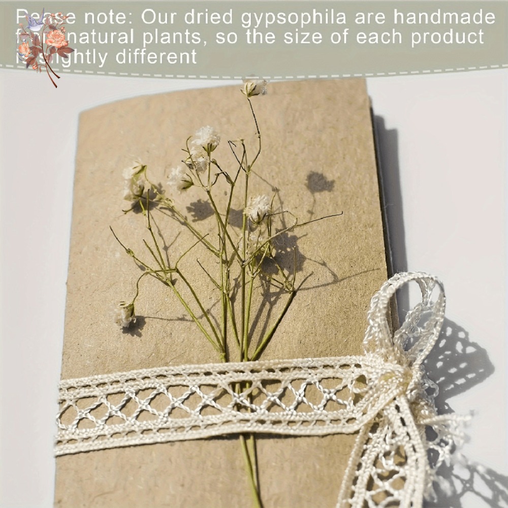 100pcs Mini Dried Baby's Breat - Craft Embellishments のレビューと価格